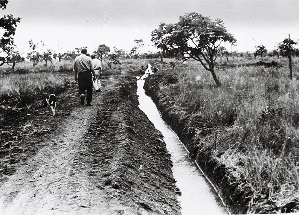 Local  de  construção do  Catetinho. Data: 1956. Arquivo Público  do  Distrito Federal