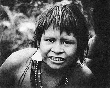 Criado o CNPI, para proteger os índios