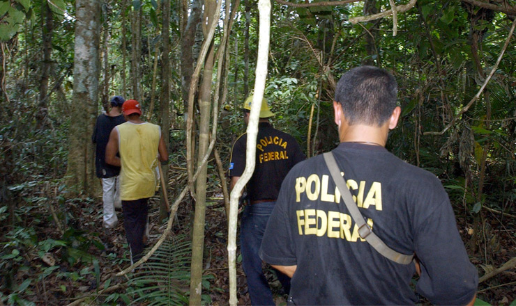  <strong> Operações casadas</strong> da PF e do Ibama intensificam combate ao desmatamento ilegal 