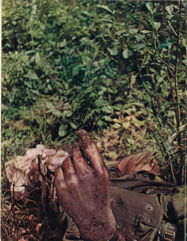  Reportagem hist&oacute;rica de Jos&eacute; Hamilton Ribeiro, rep&oacute;rter brasileiro da revista &quot;Realidade&quot; que perdeu uma perna ao pisar em mina durante a cobertura da guerra do Vietn&atilde;