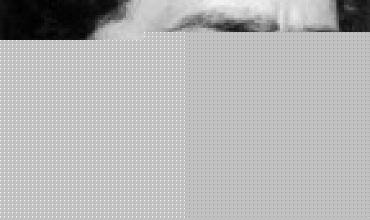 Novo Sindicalismo